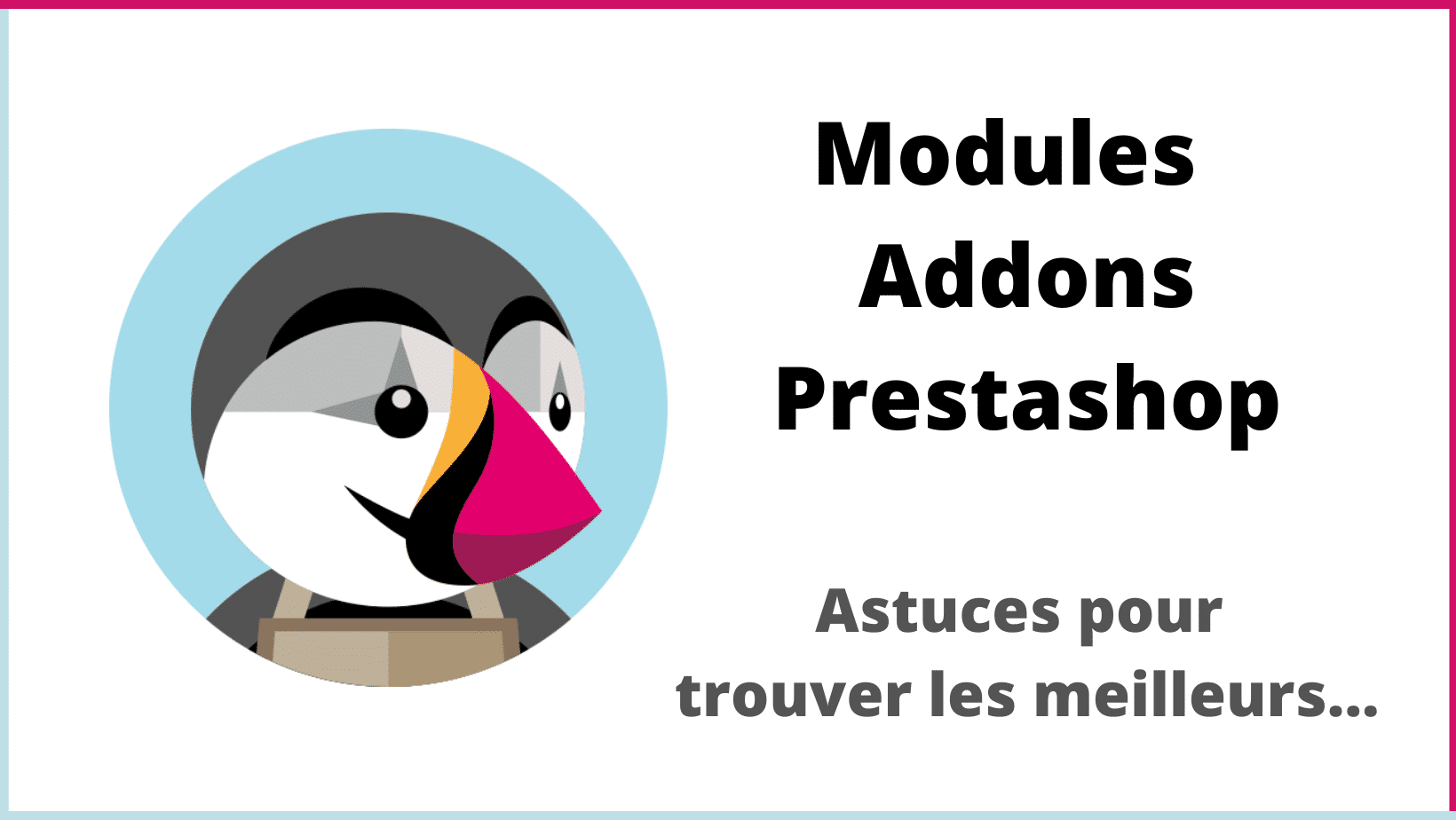 Modules Addons Prestashop