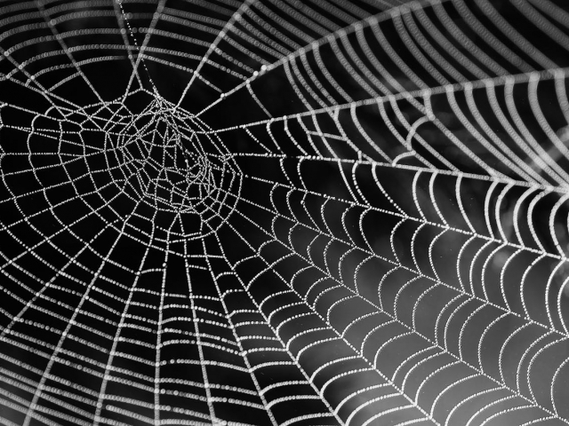 illustration crawler