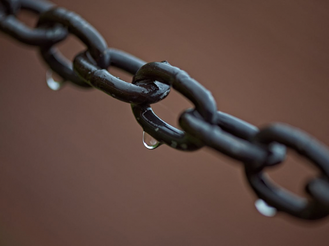 illustration netlinking