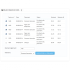 Pay multiples invoices - Image 2